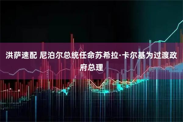 洪萨速配 尼泊尔总统任命苏希拉·卡尔基为过渡政府总理