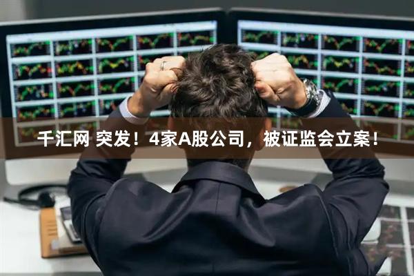 千汇网 突发！4家A股公司，被证监会立案！