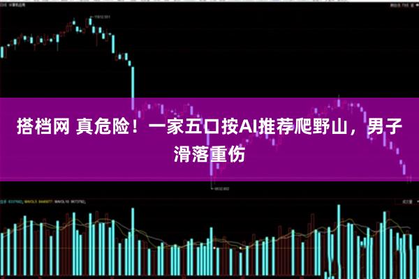 搭档网 真危险！一家五口按AI推荐爬野山，男子滑落重伤