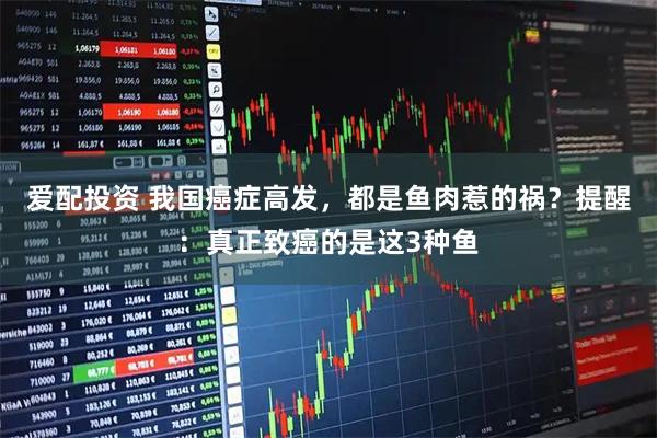 爱配投资 我国癌症高发，都是鱼肉惹的祸？提醒：真正致癌的是这3种鱼